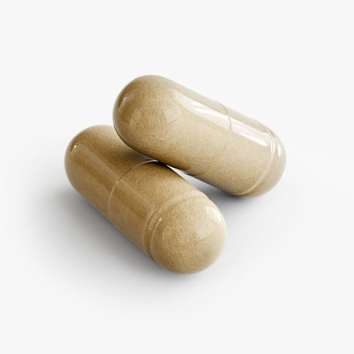 Rexqa Pure Moringa Capsules