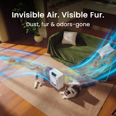 Air Purifier for Homes with Pets