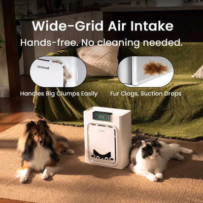 Air Purifier for Homes with Pets