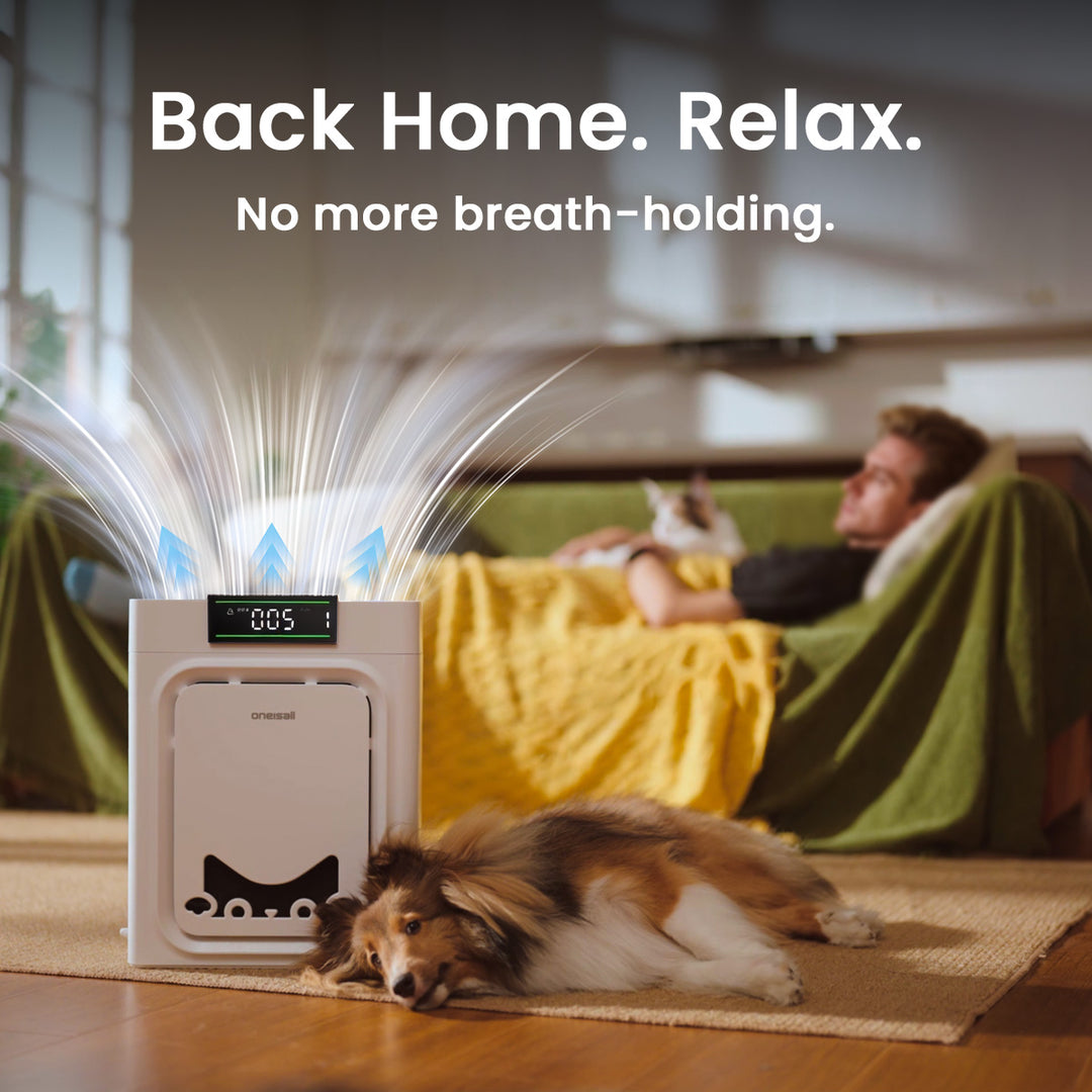 Air Purifier for Homes with Pets