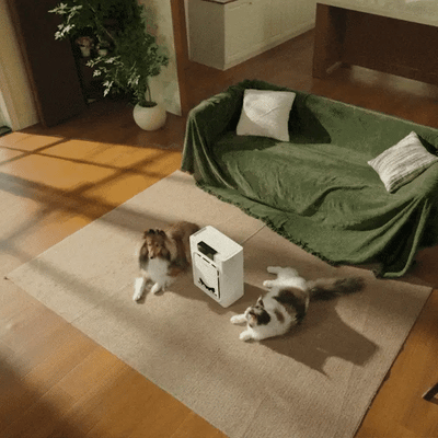 Air Purifier for Homes with Pets