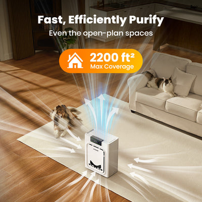 Air Purifier for Homes with Pets